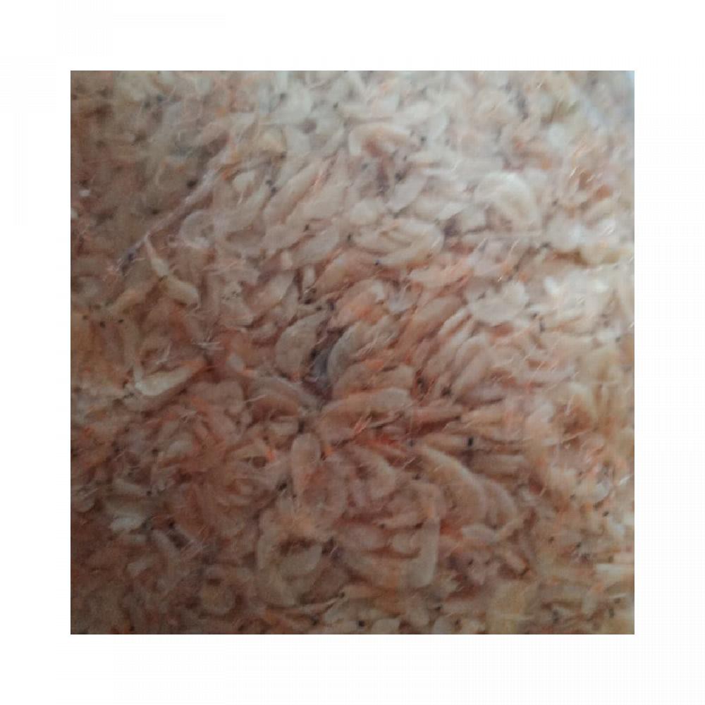 

udang Rebon