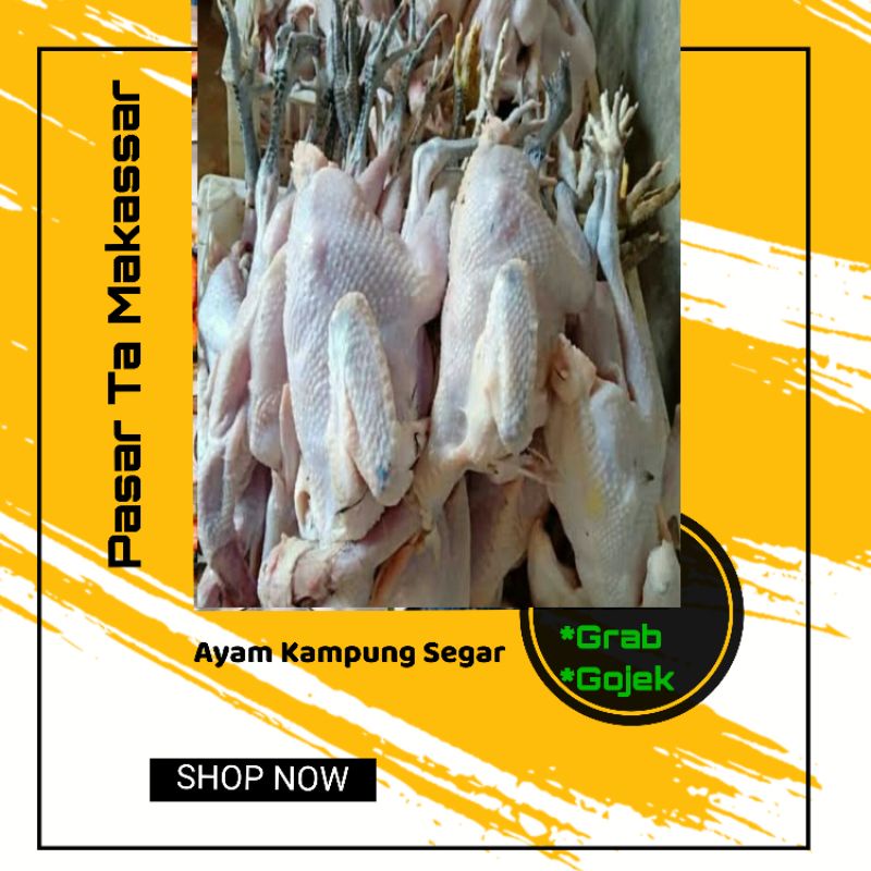 

Ayam Kampung Fresh Segar / Pasar Ta Makassar