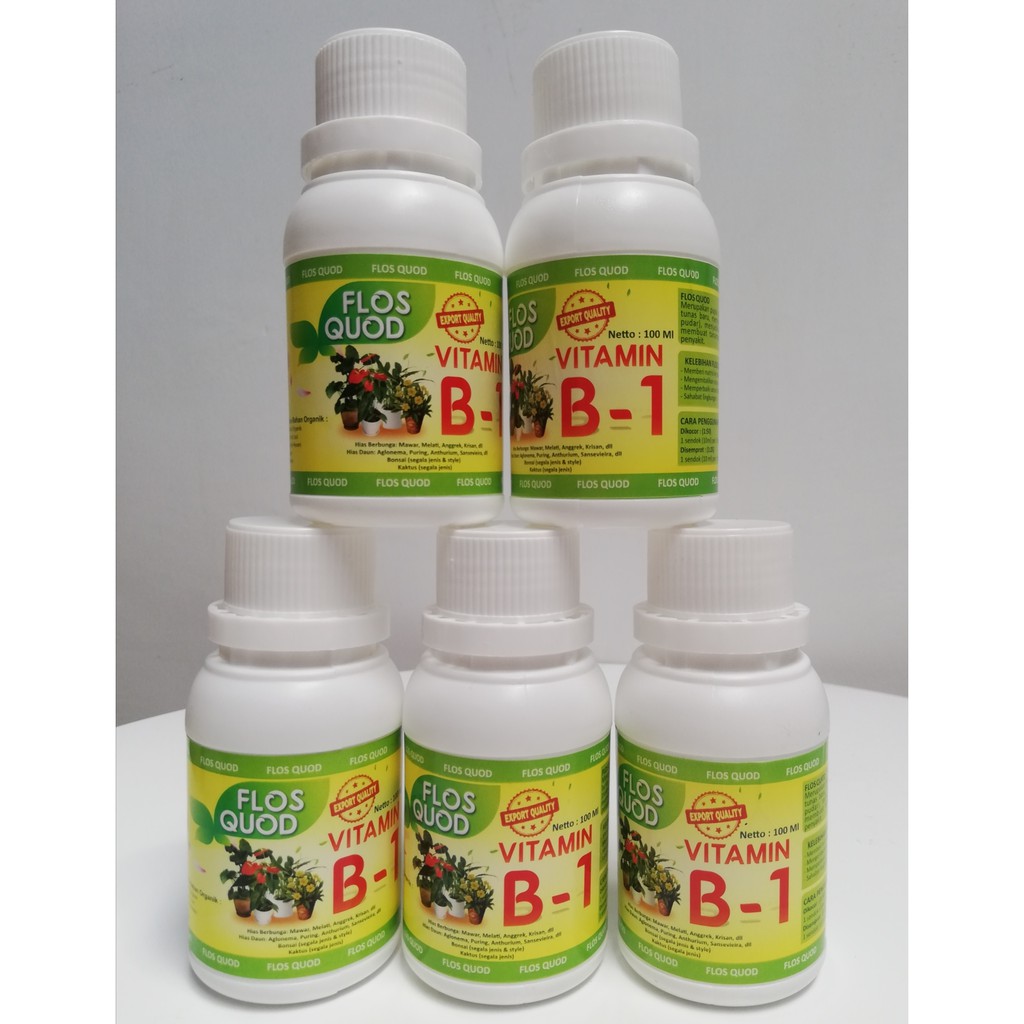 VITAMIN B1 UNTUK TANAMAN HIAS,PUPUK CAIR,PUPUK,VITAMIN AGLONEMA,PUPUK CAIR ANGGREK,FLOS QUOD