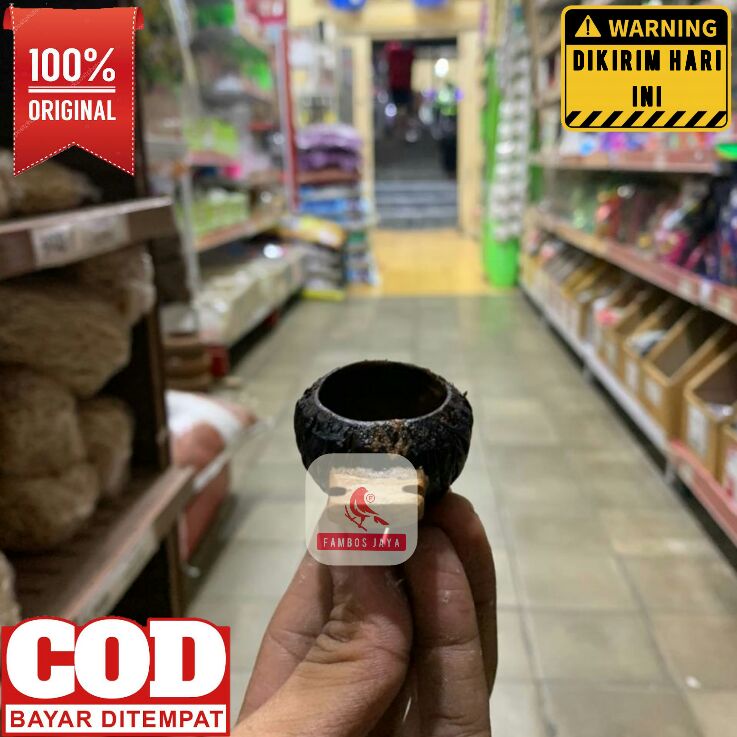 Cepuk Pakan Burung Pleci Wadah Minum KONIN Sogon Tempat Makan Burung