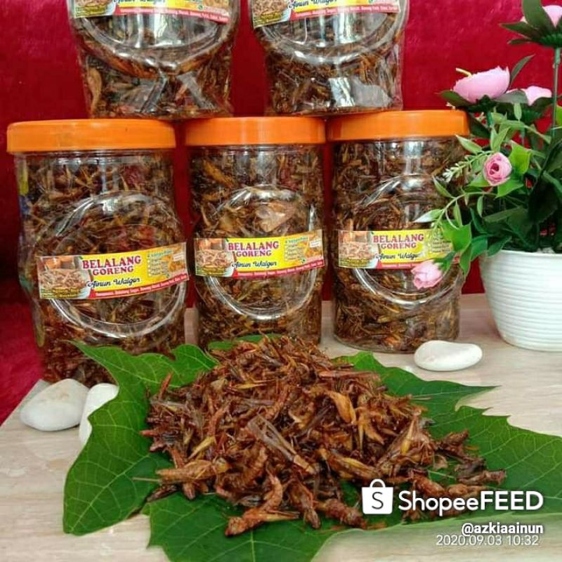

belalang goreng KECIL toples panjang