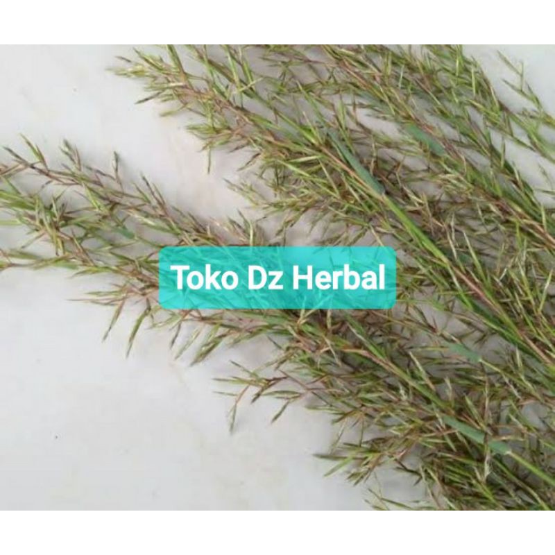 

Jual bunga sereh wangi sereh merah sereh lanang original-az