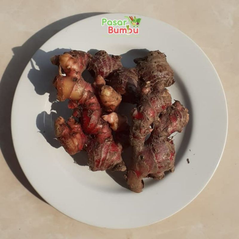 

Red Ginger fresh jahe merah 1 kg