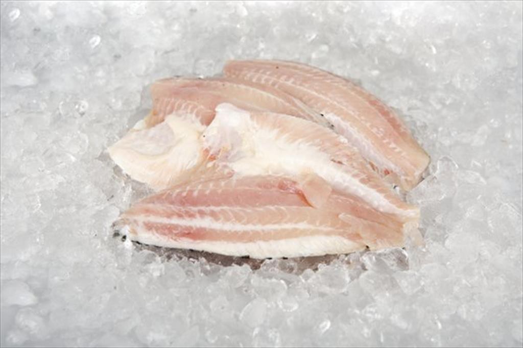 

Ikan Gurame Fillet Fresh 1Kg