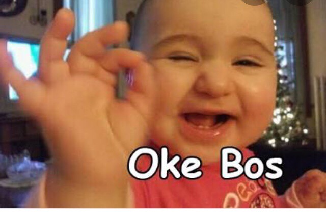 Sprei Lady Rose 120*200 Stitch Guitar , Pawpatrol , Rabbitstar,astrobear