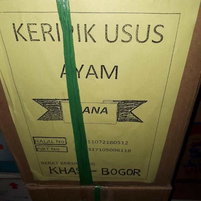 

Kripik usus