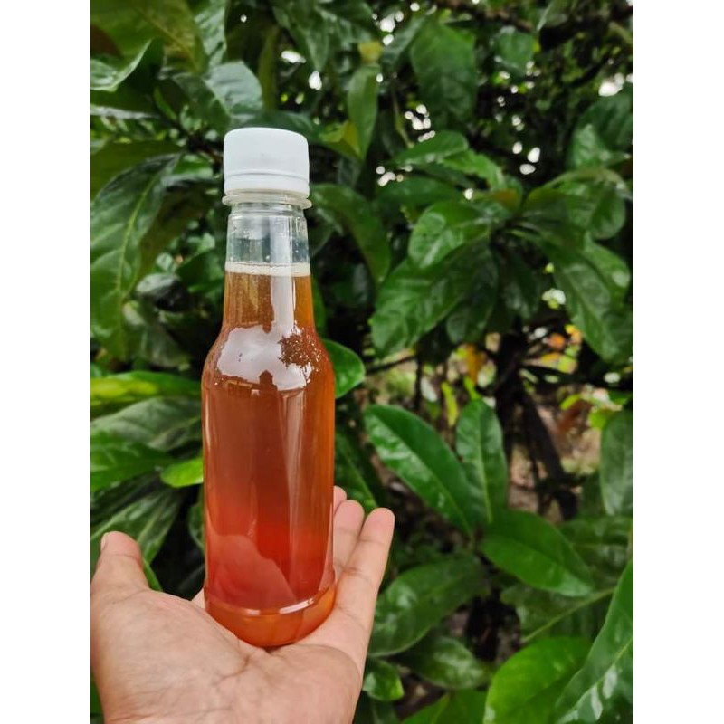 

madu mangium