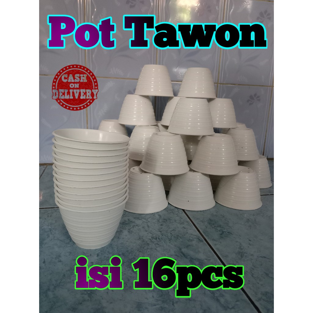 Pot Bunga plastik Pot Tawon Putih isi 16pcs Pot Bunga Pot Bonsai Pot Bunga Plastik Lusinan Murah Pot