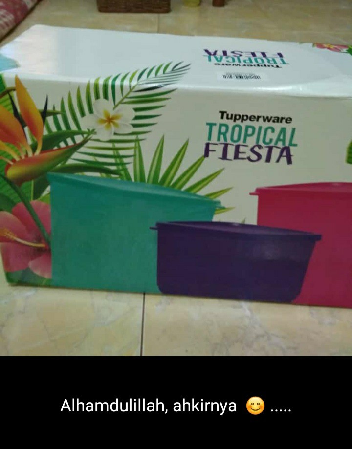 Promo!! Baru Tuppy Toples Set (6) Tropical Fiesta Free Small S(3)