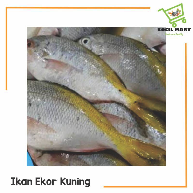 

IKAN EKOR KUNING 500GR BOCIL MART