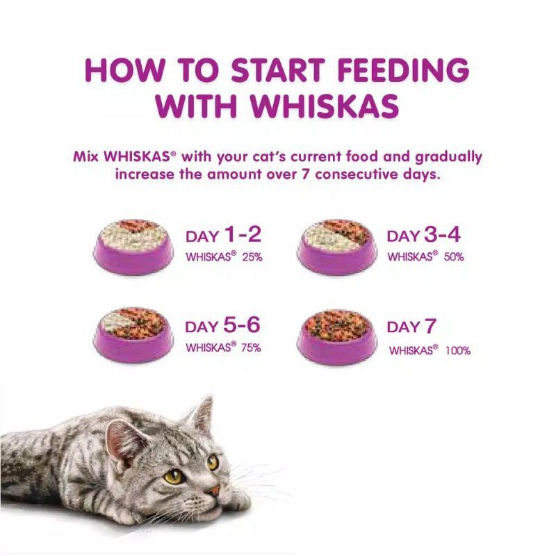 Makanan Kucing Merk Whiskas Repack 500Gram