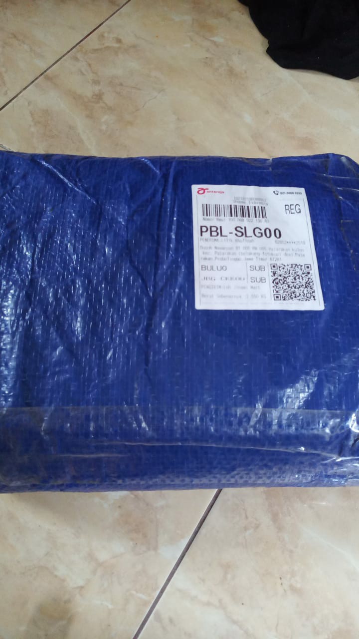 Brongsong Buah M (20 X 25) Cm Fruit Cover Pembungkus Buah Easy Grow Murah