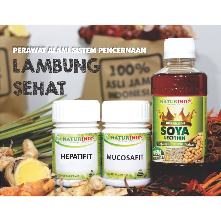 

Obat Herbal Halal alami atasi asam lambung naturindo mucosafit paket komplit