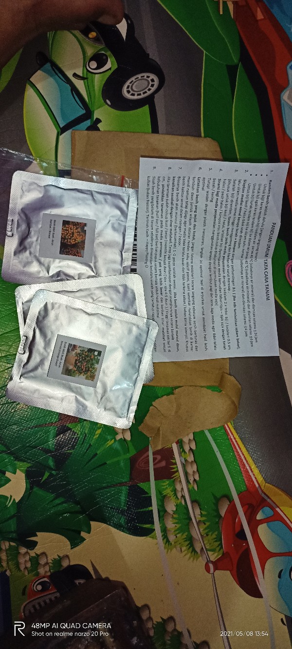 Biji Benih Bibit Jeruk Bonsai (orange Dwarf Seeds)