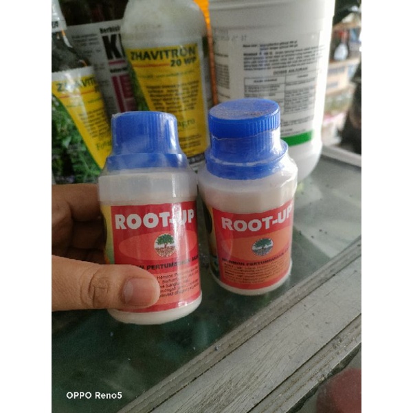Root-up perangsang akar bubuk isi 100gr