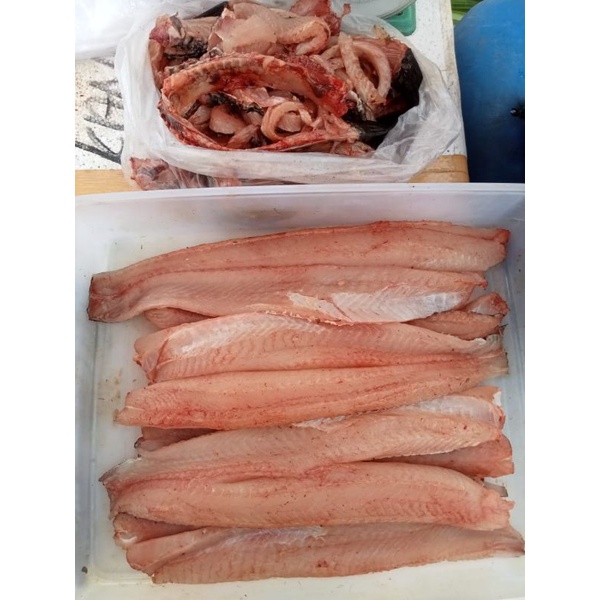 

ikan gabus frozenfood