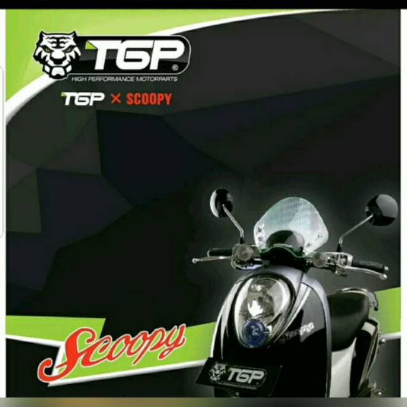 visor TGP variasi motor scoopy carbulator