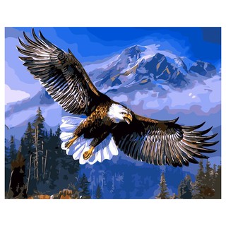 75+ Gambar Burung Rajawali Terbang Gratis Terbaru