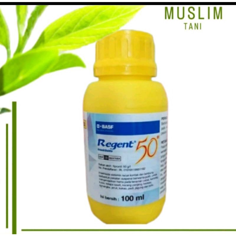 REGENT 100ml