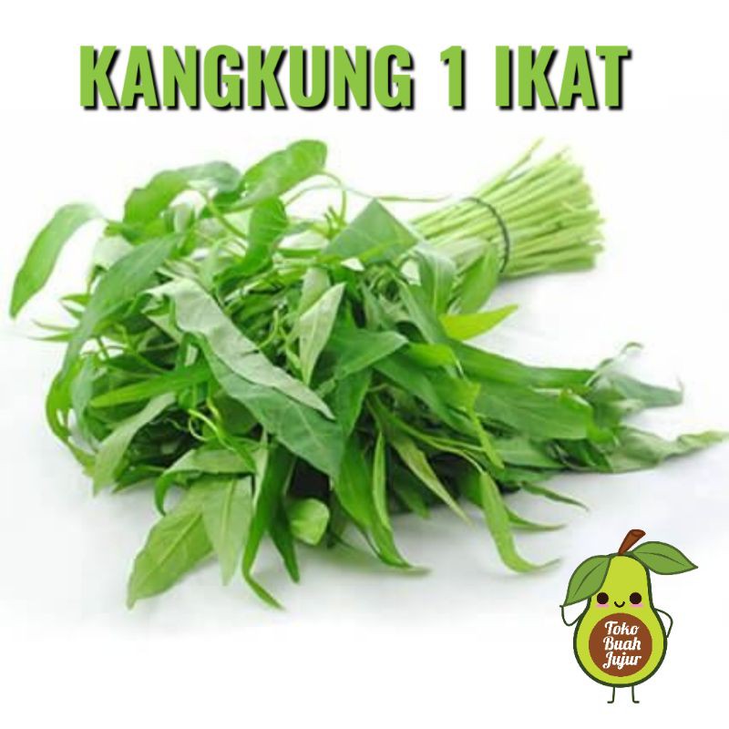 

KANGKUNG 1 IKAT