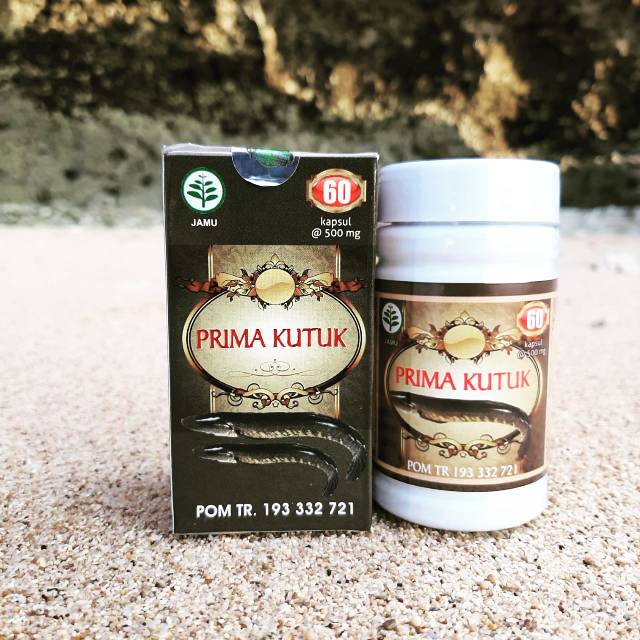 Herbal kutuk ikan gabus/prima kutuk