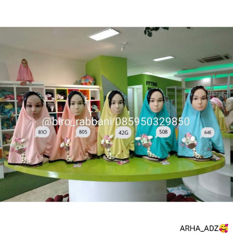 BANI BATUTA KRUKID KIRINA