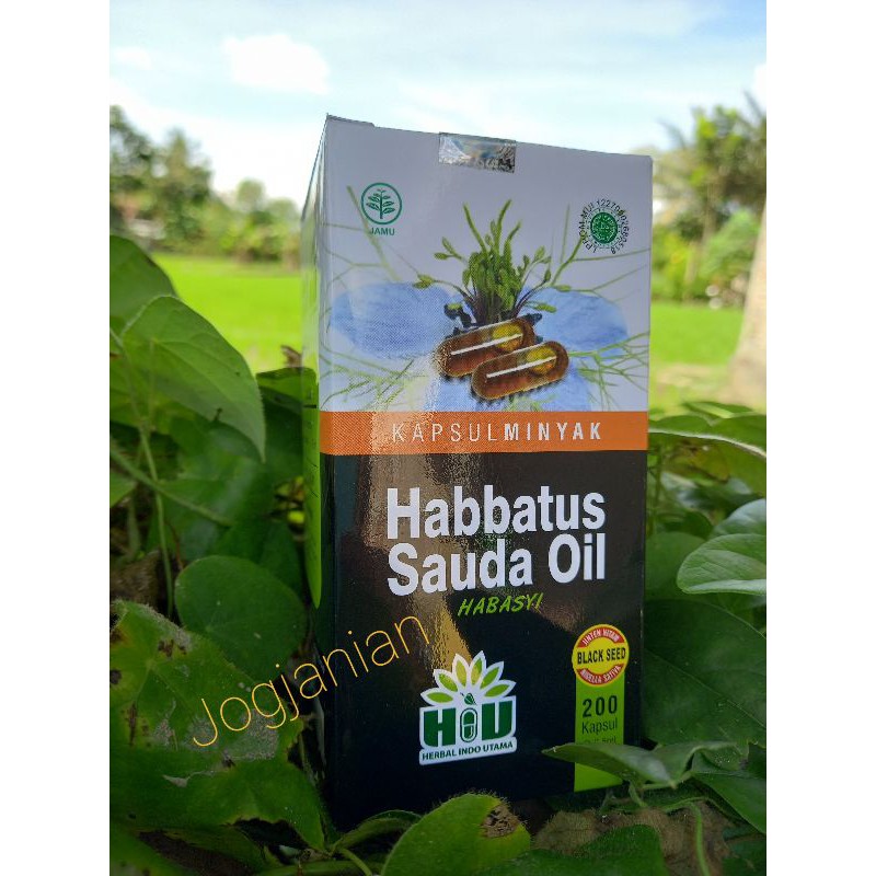Habbatussauda Oil Minyak Habbatussauda - jinten hitam