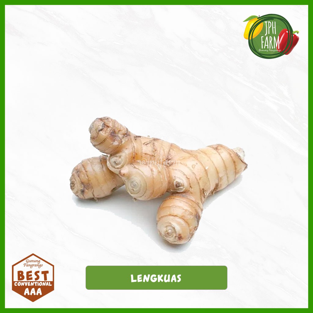 

Lengkuas, Rimpang, Laos, Kelawas 250g