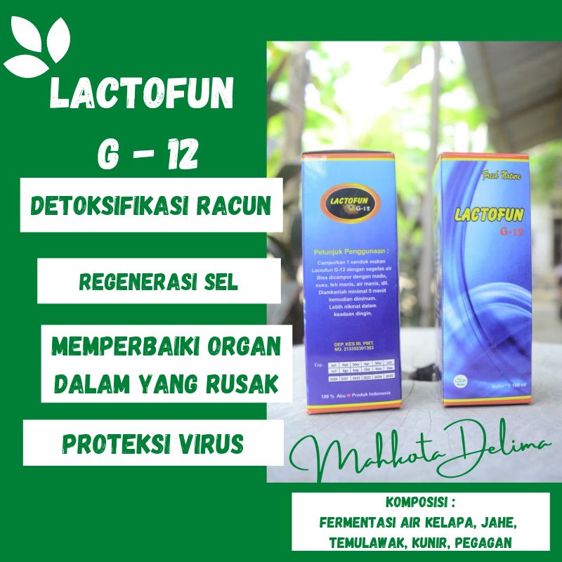 Lactofun G-12 Herbal Detoksifikasi Racun Regenerasi Sel Proteksi Virus Memperbaiki Organ Dalam