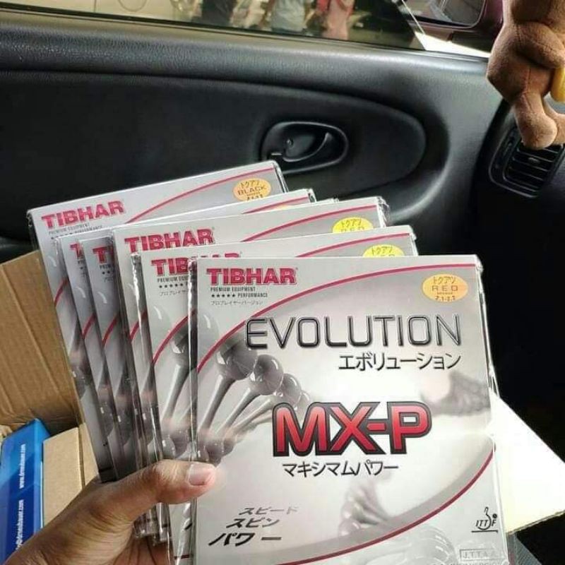 Tibhar Evolution MXP