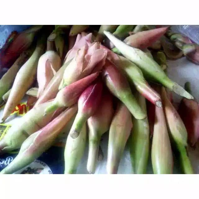 

bunga kecombarng 200gr