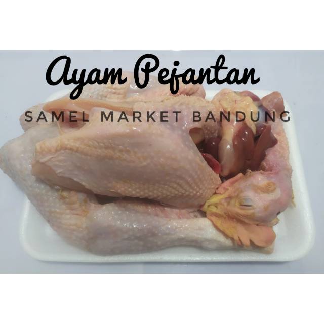 

Ayam Pejantan 1 ekor