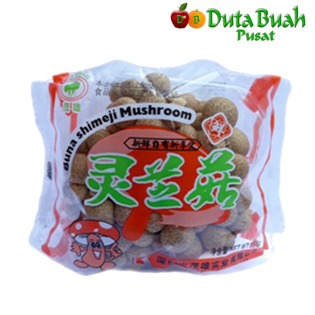 

DUTA BUAH Jamur Lingze Coklat RRC (150g/1pcs)