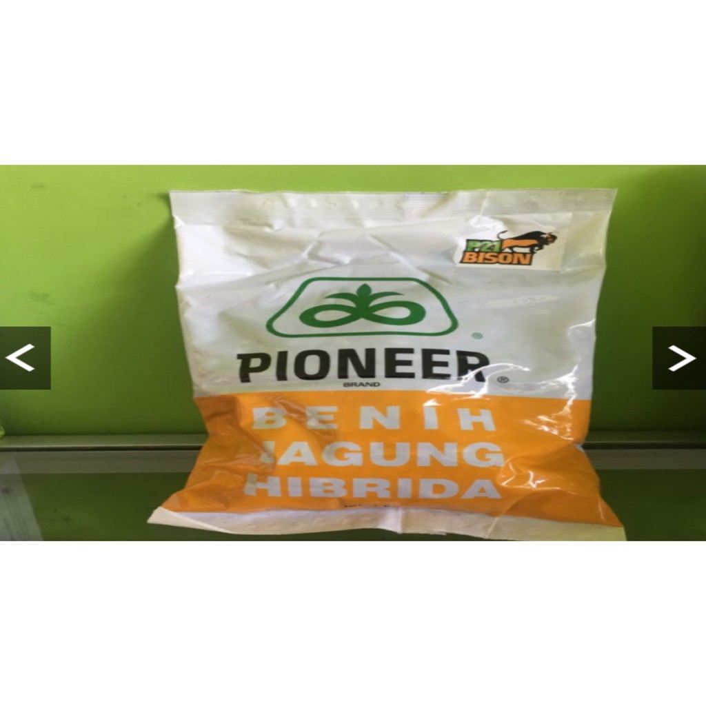 Benih Jagung Hibrida P21 BISONPIONEER Brand P21 Dahsyat Bibit Jagung