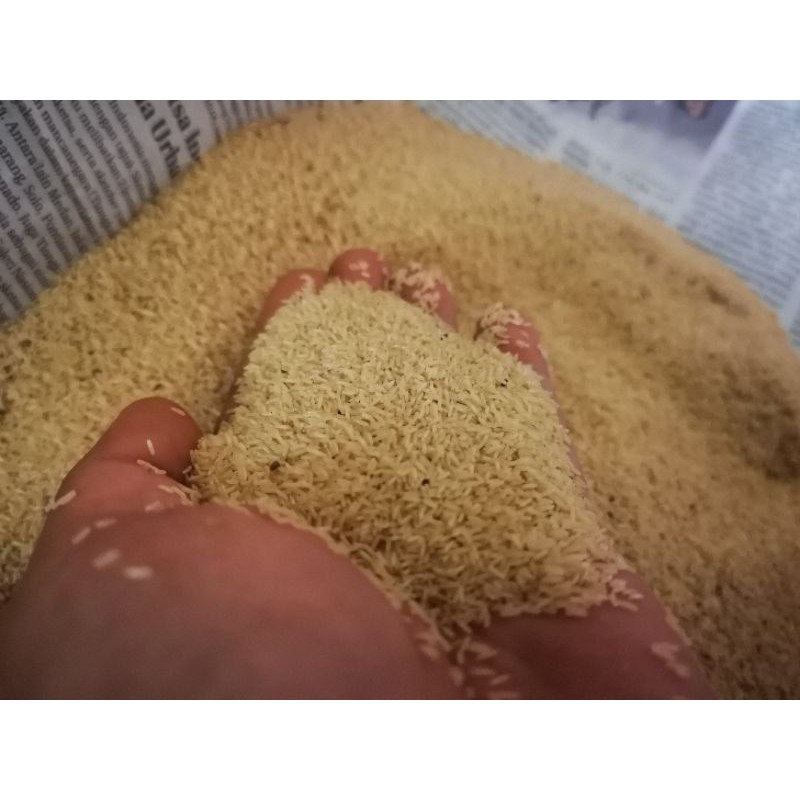 telur jangkrik kalung 1kg