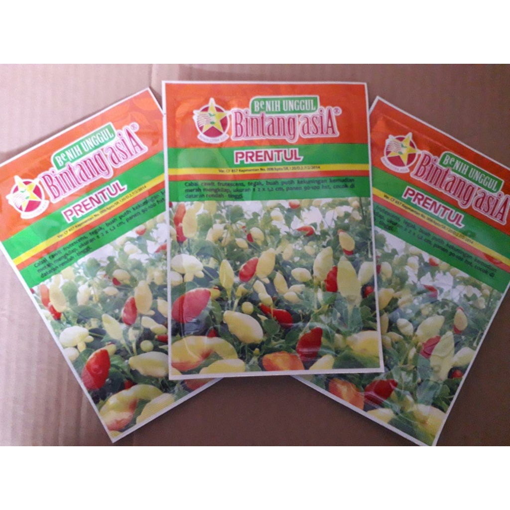 benih bibit cabai cabe rawit prentul 10gram dari bintang asia