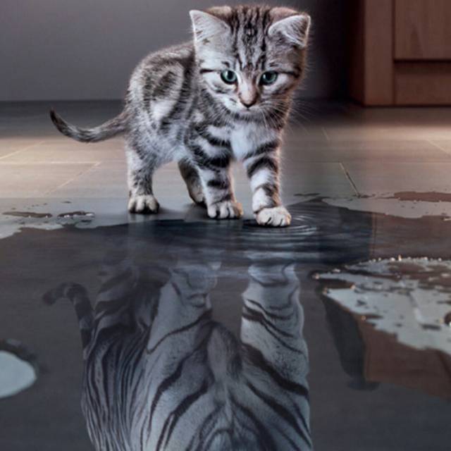 mandirigroupjaya1922