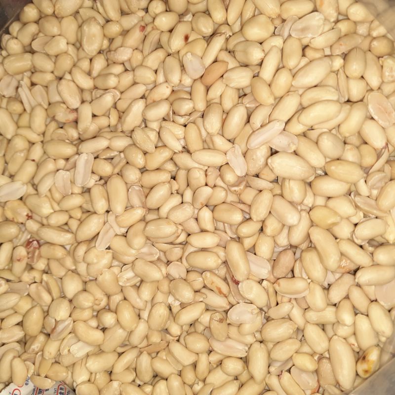 

KACANG PLECET / KACANG KUPAS 250 GRAM