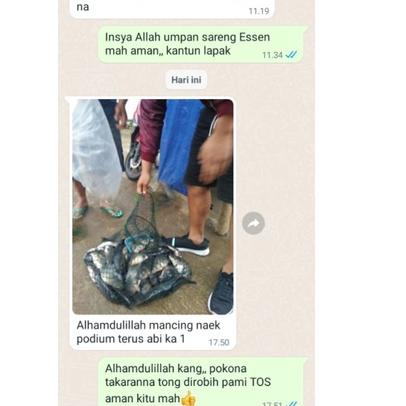 Harga TERMURAAH.. Essen Ikan Mas Paling Bagus, Essen Juara Untuk Lomba Mancing Ikan Mas Harian, Esse