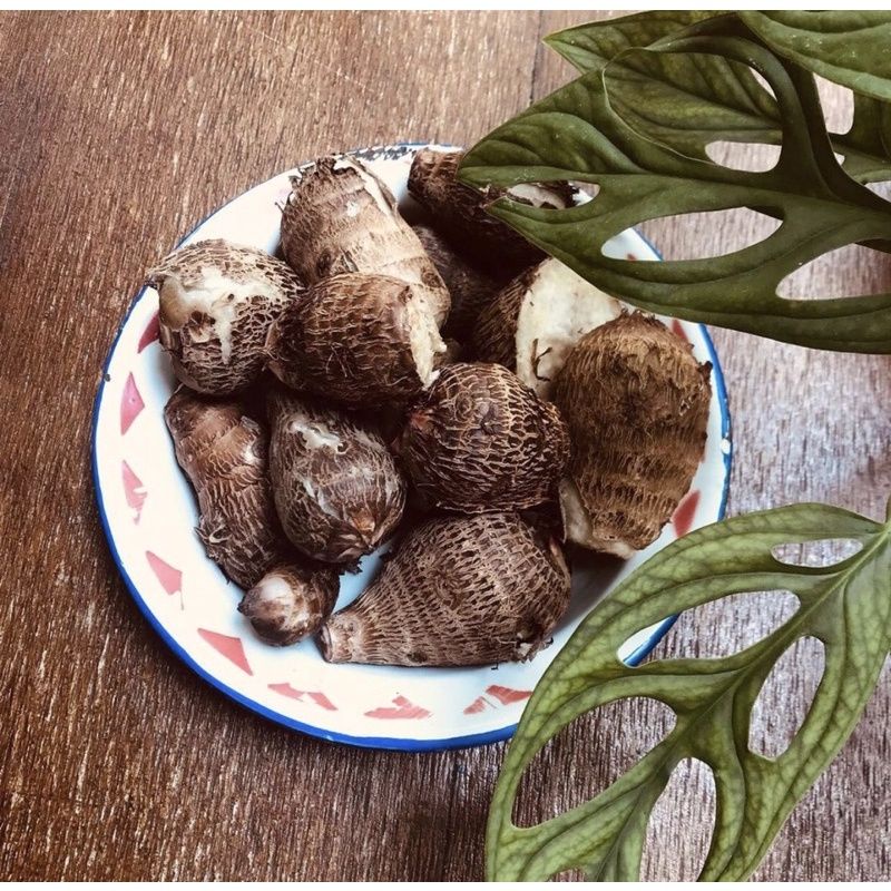 

TERMURAH Umbi Talas Kimpul Segar 500gram