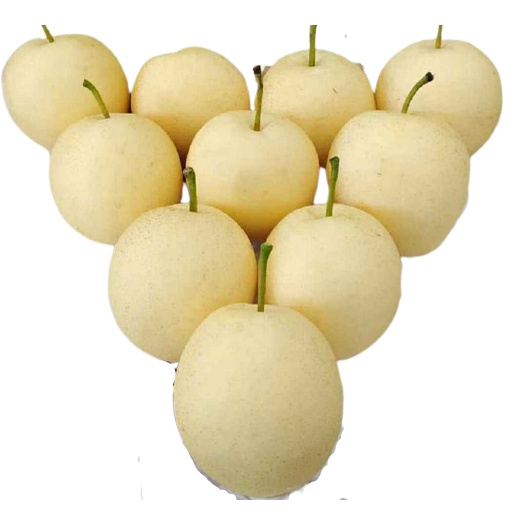 

[ PER 1 KILO ] PEAR CENTURY BUAH PEAR SWEET SEGAR