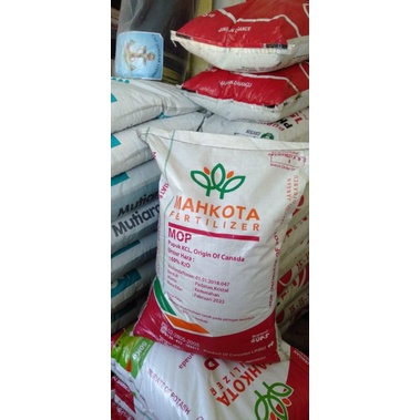 Pupuk KCL CANADA (kemasan repack 1kg)