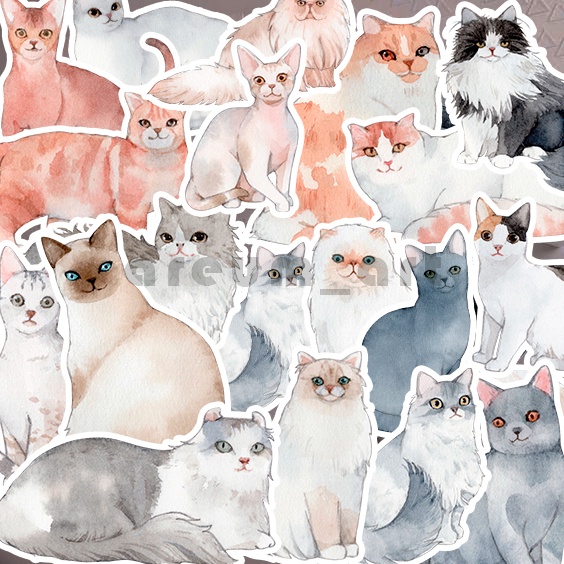 

50PCS Sticker Kucing - sticker cute cat untuk Scrapbook / Jurnal / Diary tahan air