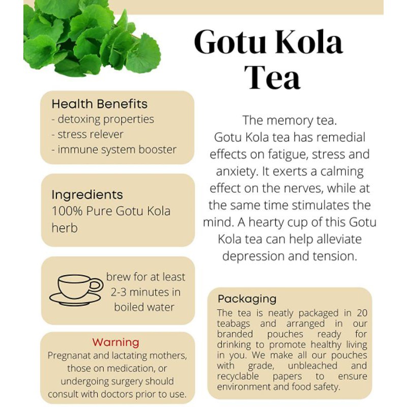 RAW TISANE Gotu Kola Tea : Teh Celup Daun Pegagan / Daun AntananIsi 30 Tea Bag