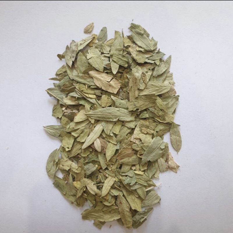 

Teh Pelangsing daun jati Cina