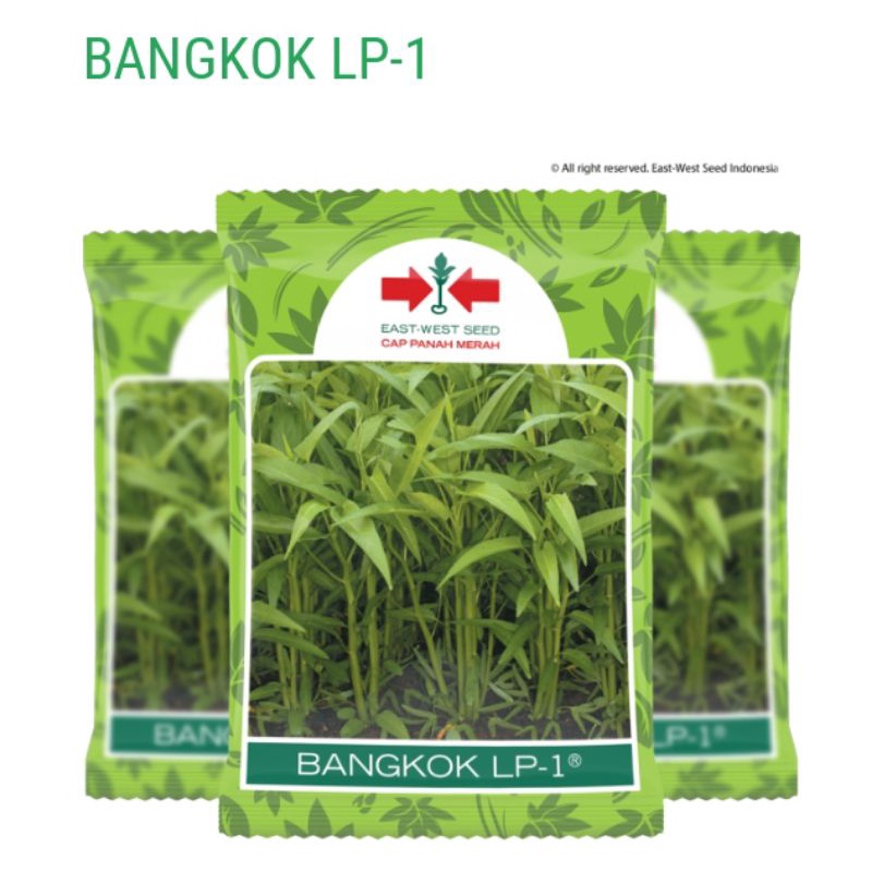Benih kangkung BANGKOK LP-1