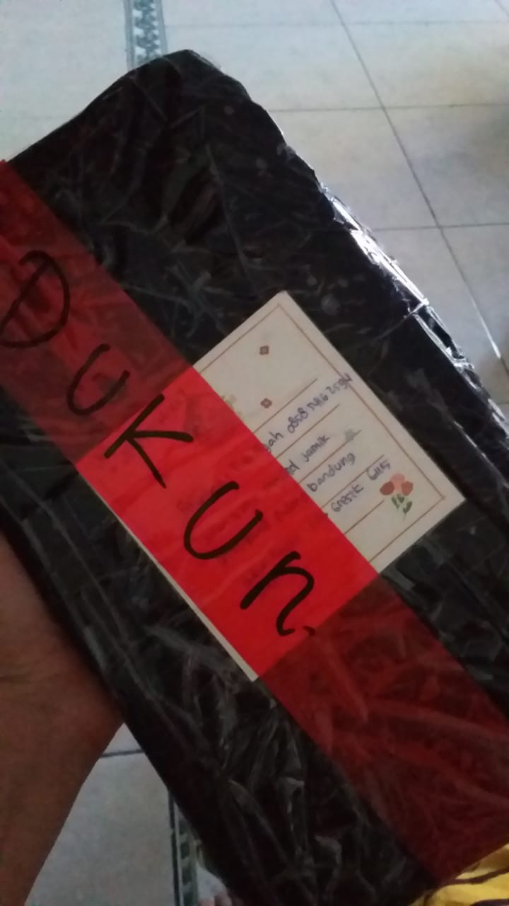 Obeng Kunci Sok Kunci Shock 1 Set Isi 40 Pcs