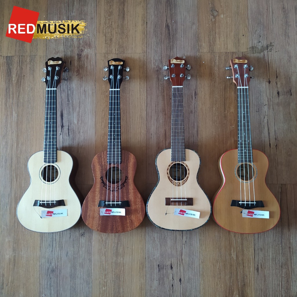 Ukulele Cowboy Concert UK23