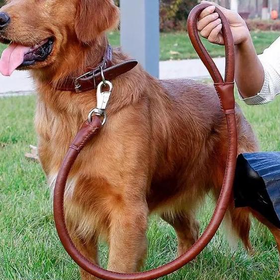 ] Kalung tali tuntun dog collar leash kulit anjing besar pitbull golden