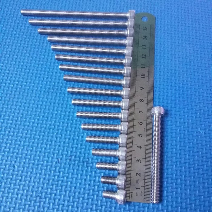 baut 10/6x65 stainless